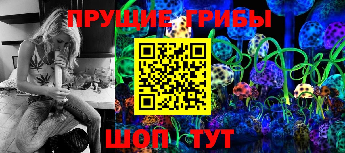Бийск  Псилоцибиновые грибы MAGIC MUSHROOMS  Галлюциногенные грибы Psilocybine cubensis  Вход с VPN 